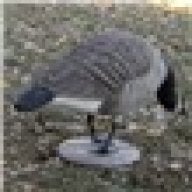 RhodesCaller
