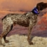 GWIREHAIR