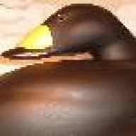 erbed o