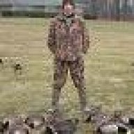 hunt geese