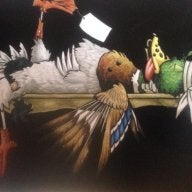 duckrig