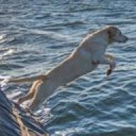 Hunt n' Fish