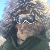 musher