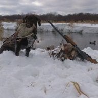 The Goose Kid
