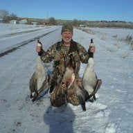 MALLARD KEN