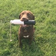 Hogleg