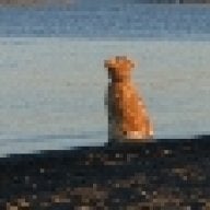 Goldenhtr