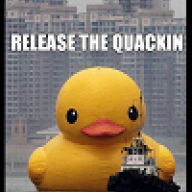 imaduckin up north