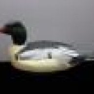 Merganser