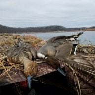 tennessee