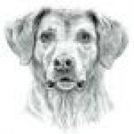 gundogdoc