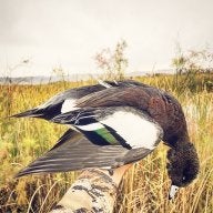 Hunter_r925