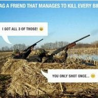 Gbduckin