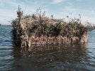 IMG_0068.jpeg