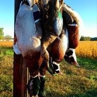 Duckin'