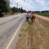 cowgirlnca