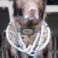wtrdog1187