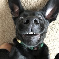 otiro