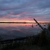 WILDDUX