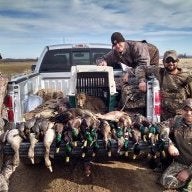duck_killer00