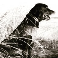 Waterfowl Sniper 74