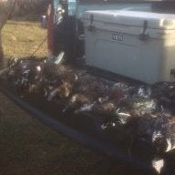 Hambone79